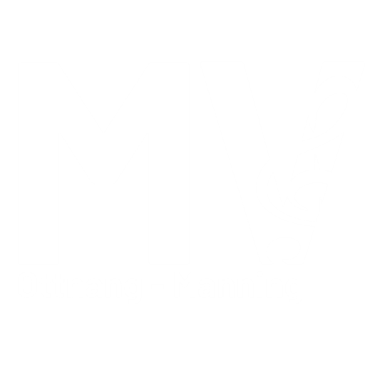 MV Ottnang-Manning