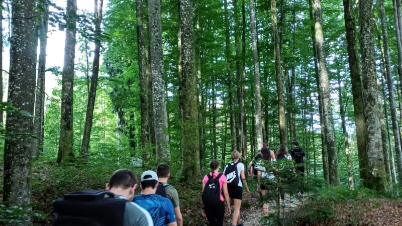 Fourtissimos_Musiklager-25_e4d3f6d5-4aca-4017-80b8-e9c6f3f2ac4b