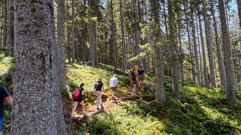 MVOM_Musikausflug_5_1